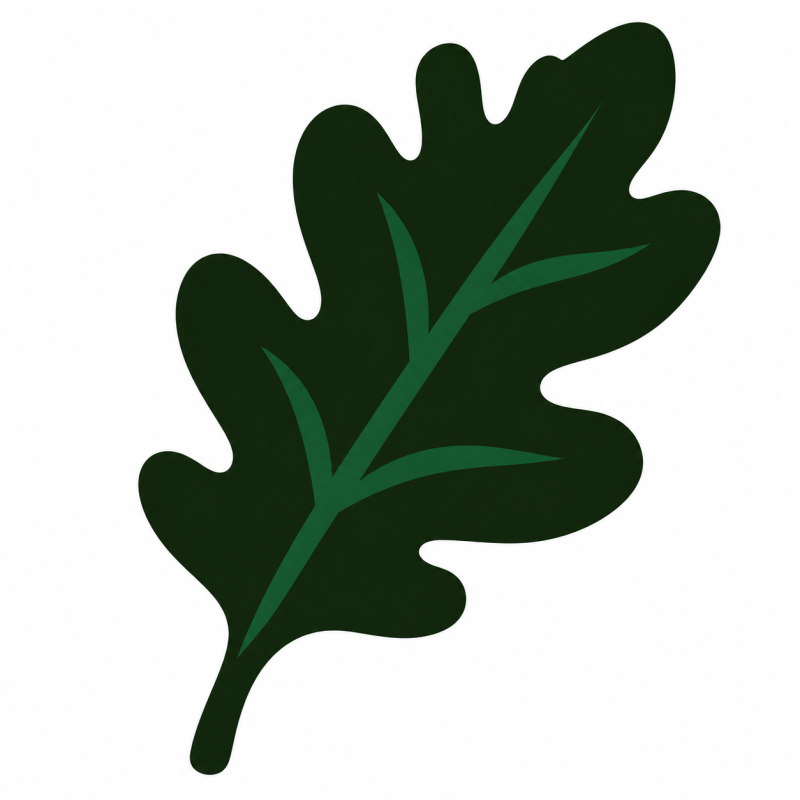 Oakvanta Retail LLC